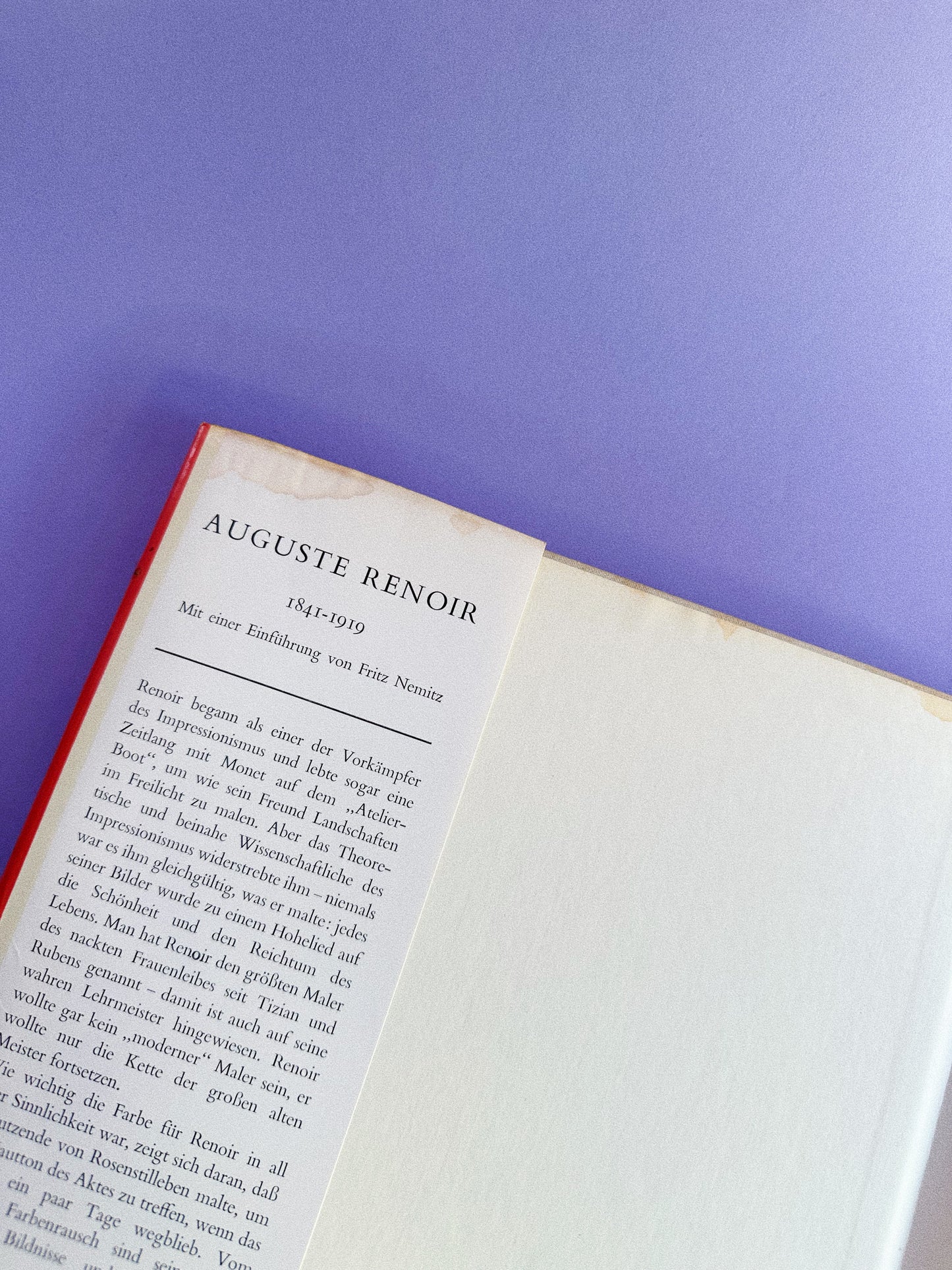 Vintage Renoir Phaidon Coffee Table Book