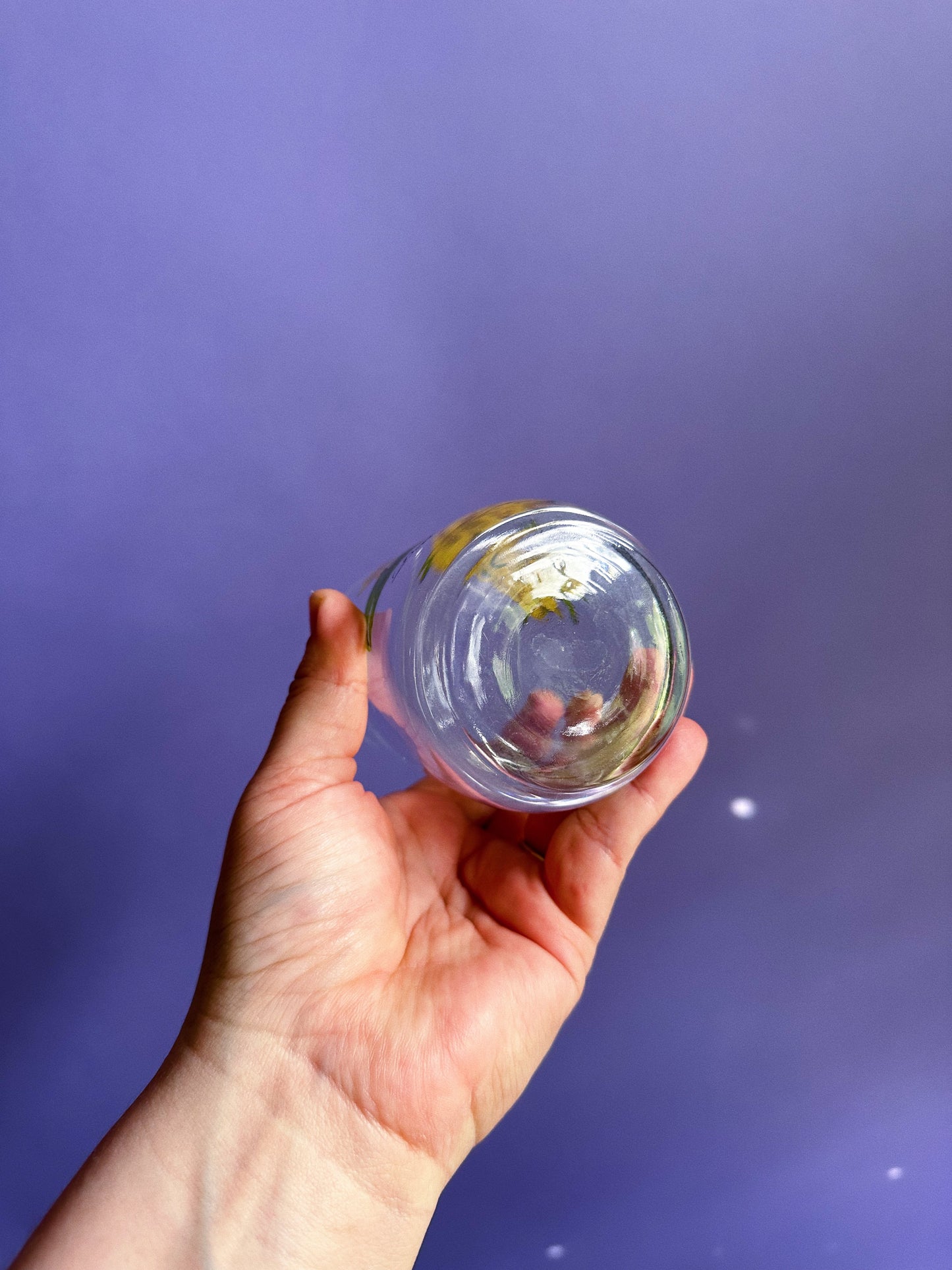 Vintage March Daffodil Flower of the Month Glass Tumbler