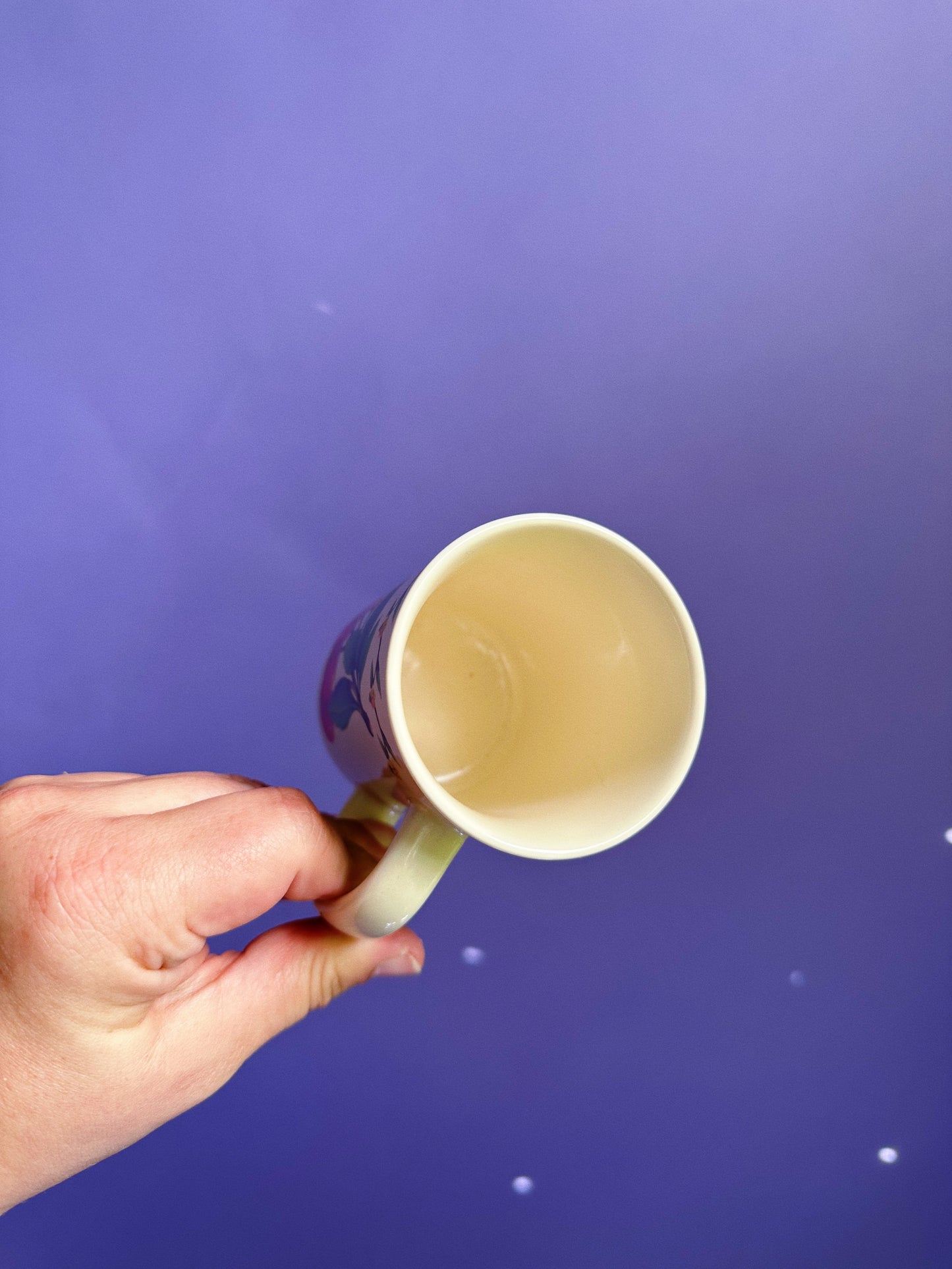 Vintage Otagiri Cherries Ceramic Mug