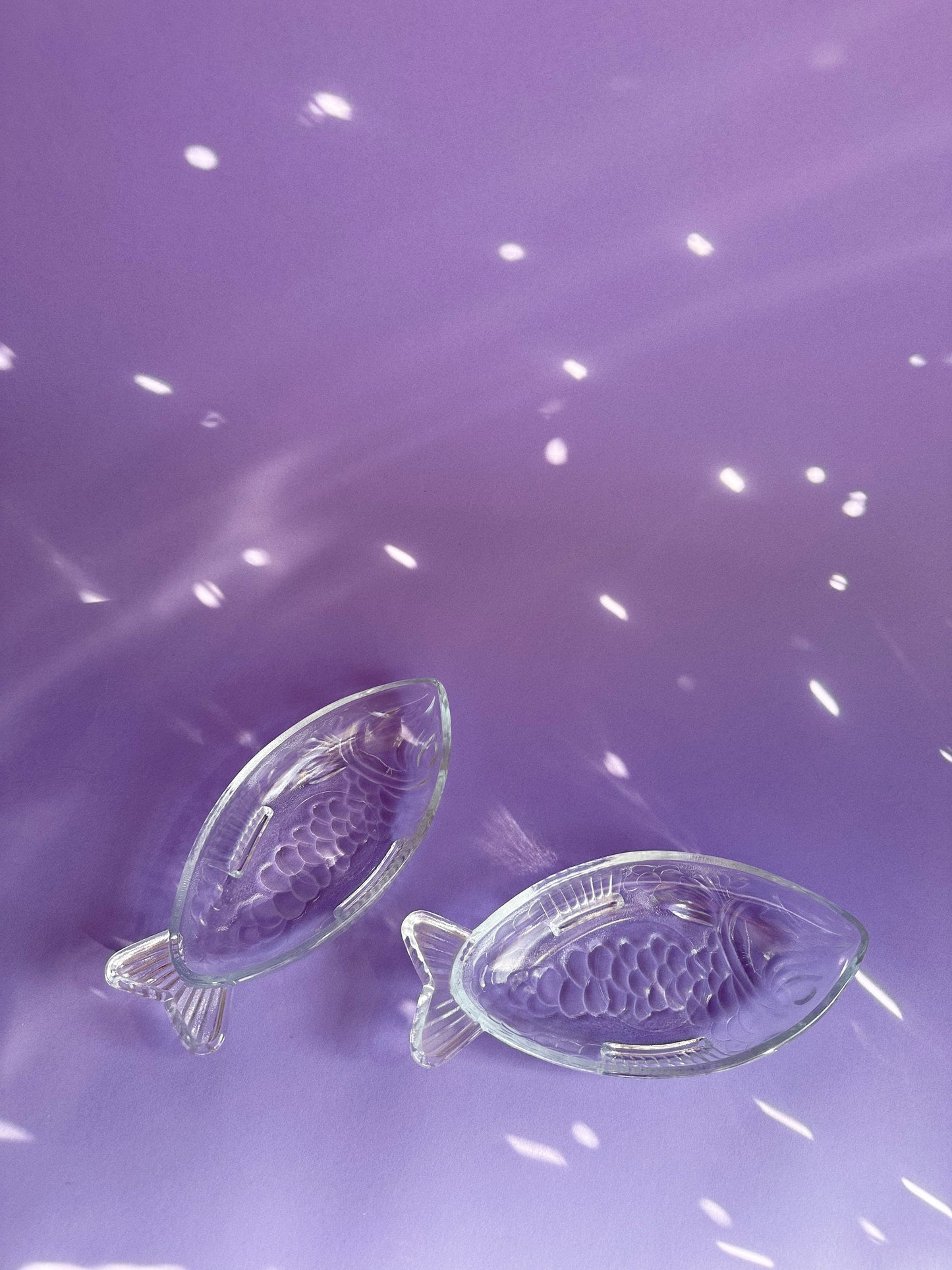 Pair of Heavy Glass Fish Dishes