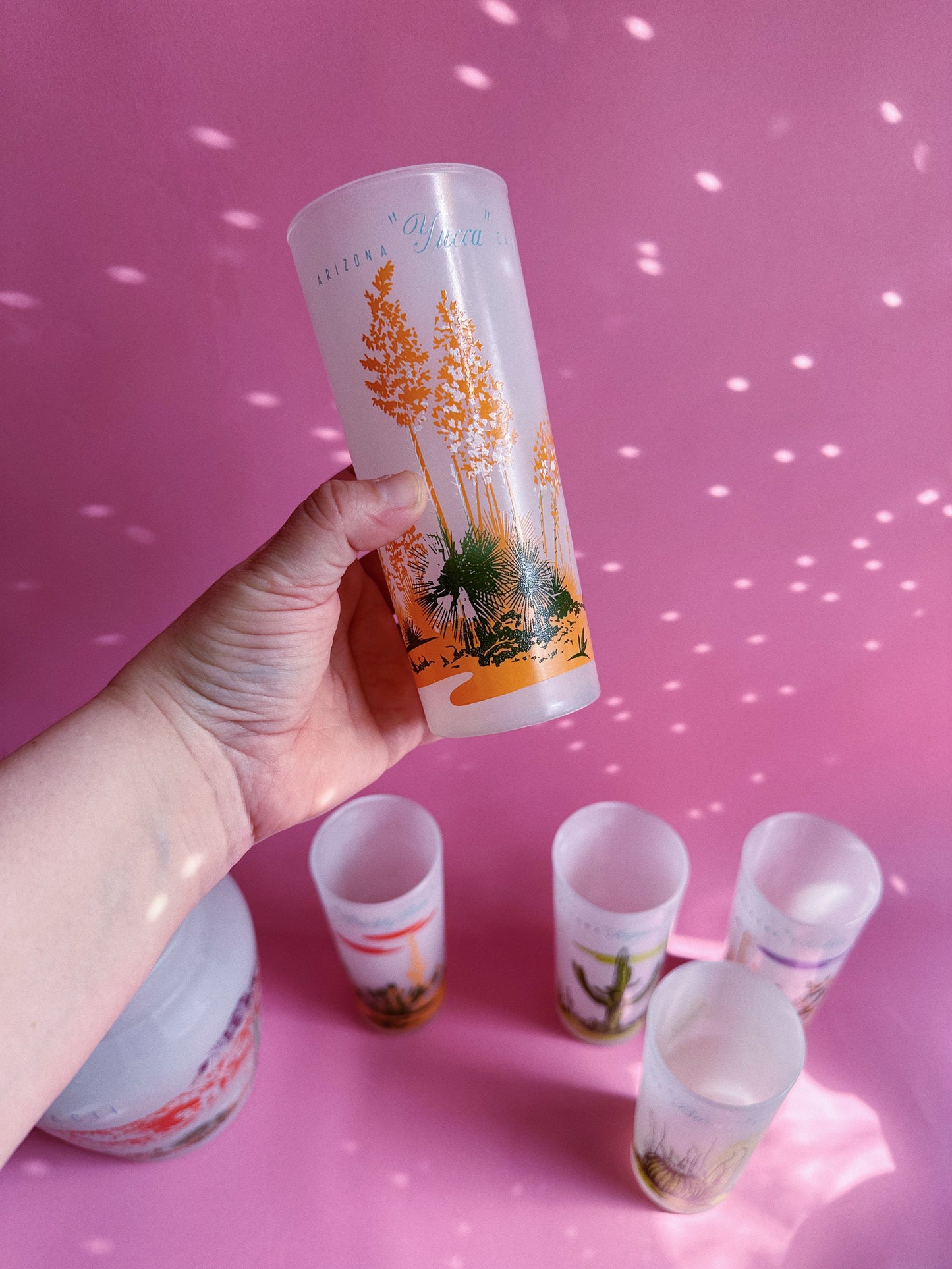 Vintage MCM Blakely Oil & Gas Arizona Frosted 5 Tumbler Glasses & Pitcher Cacti