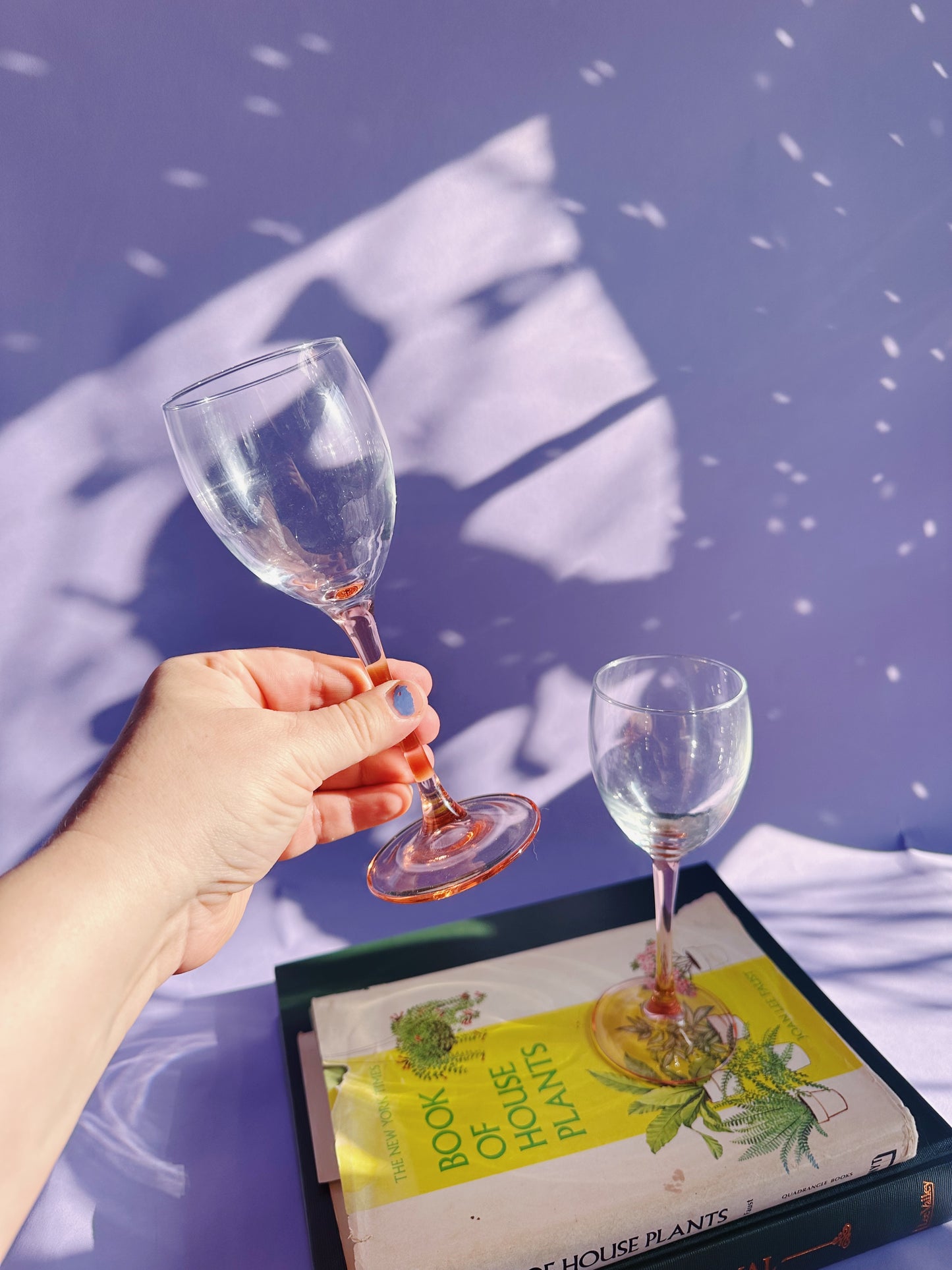 Vintage Pinn Stemmed Wine Glass Pair