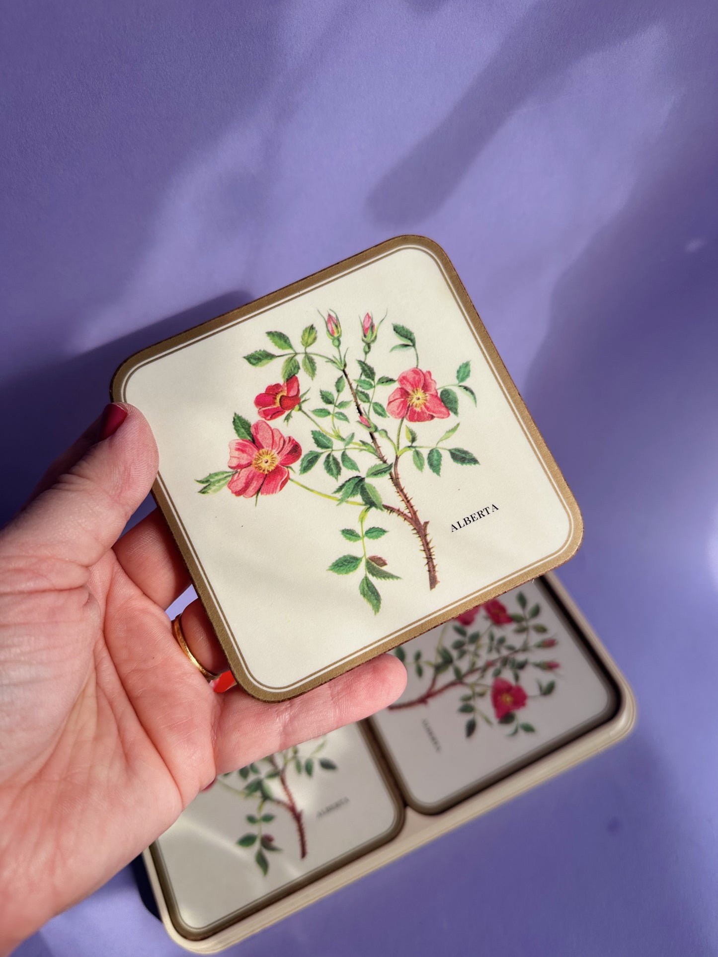 Vintage Pimpernel Alberta Floral Botanical Coasters Set of 6
