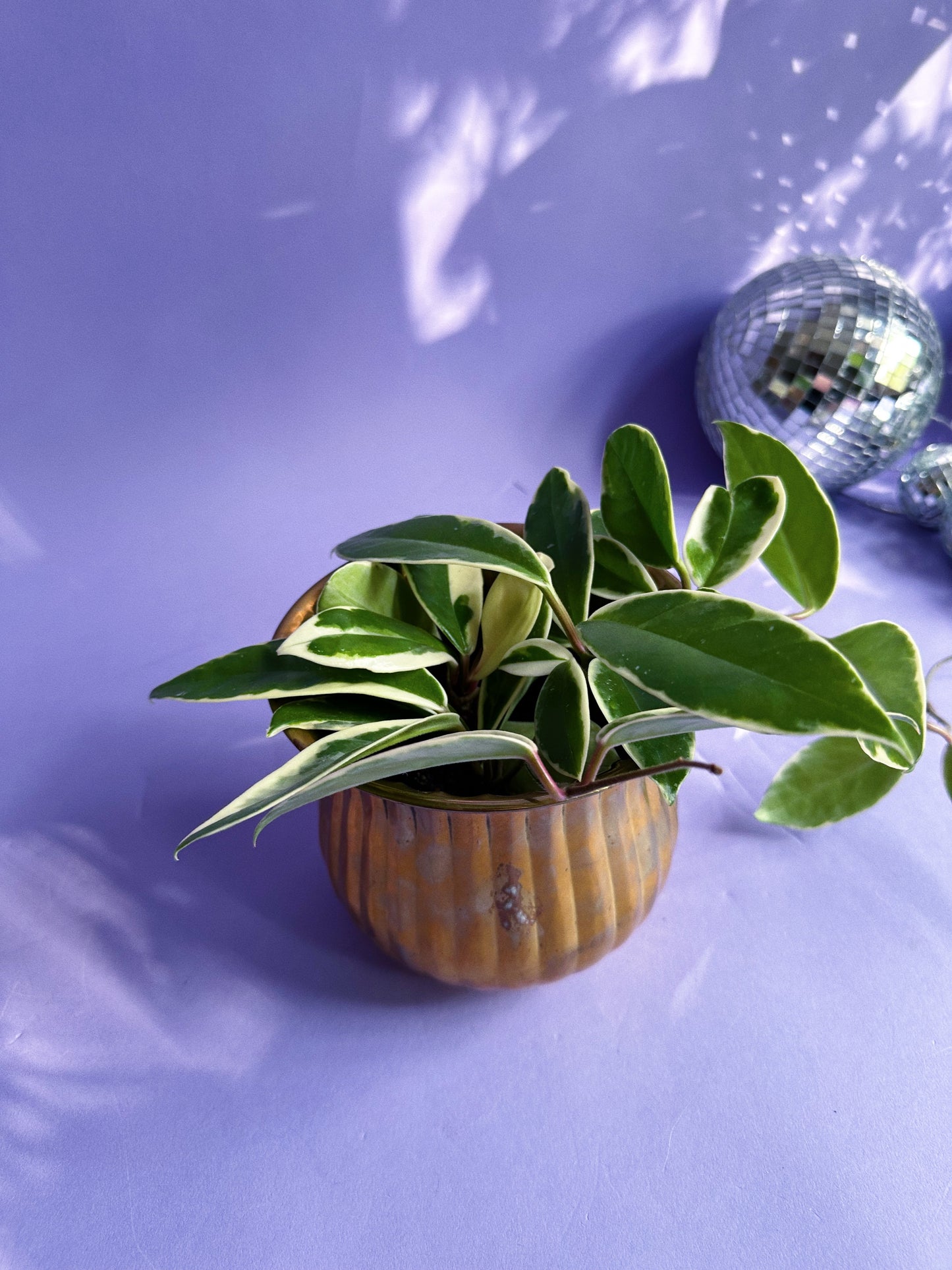 Vintage Brass Plant Cache Pot