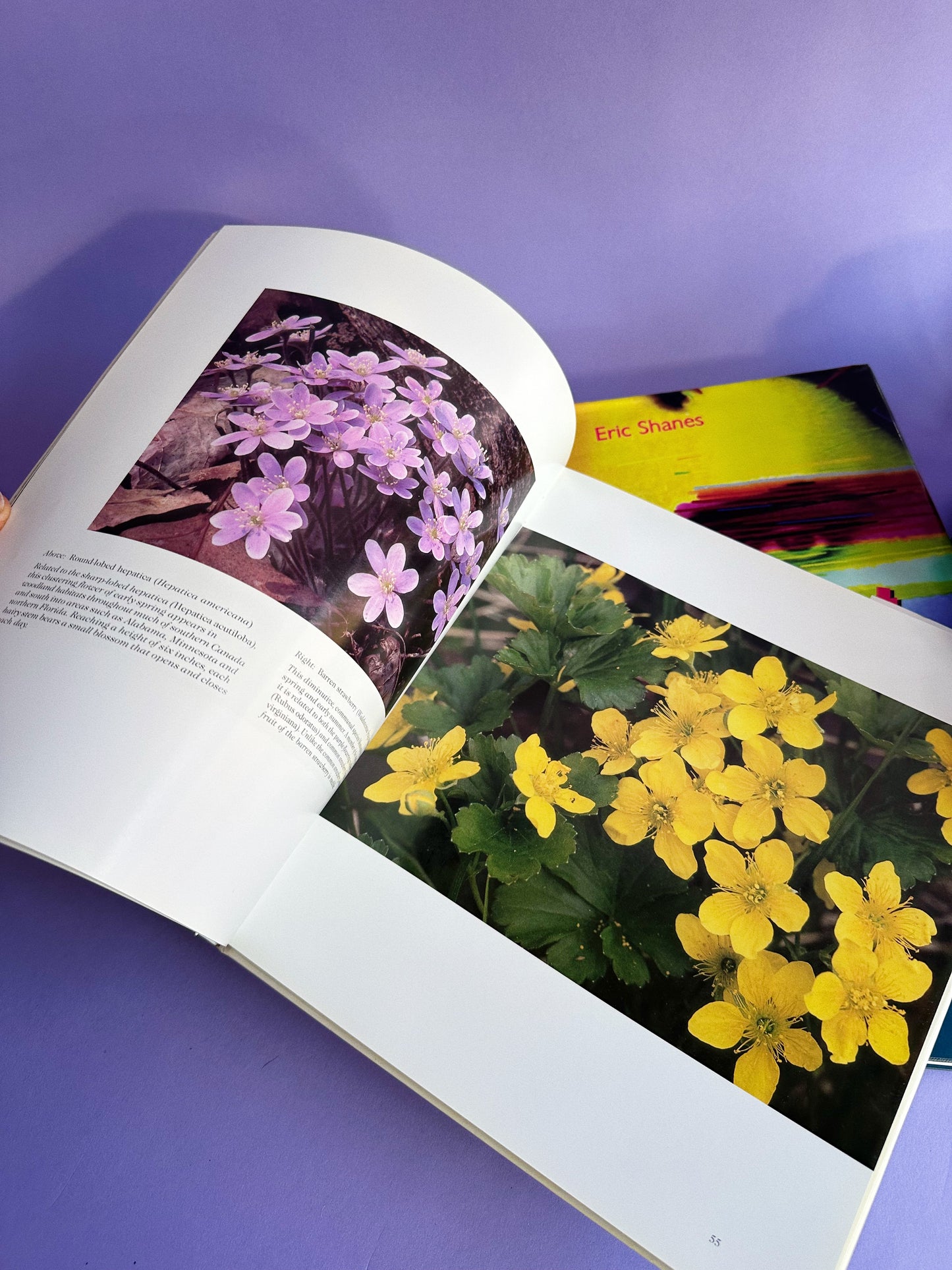 Vintage Wildflowers of Canada Hardcover Coffee Table Book
