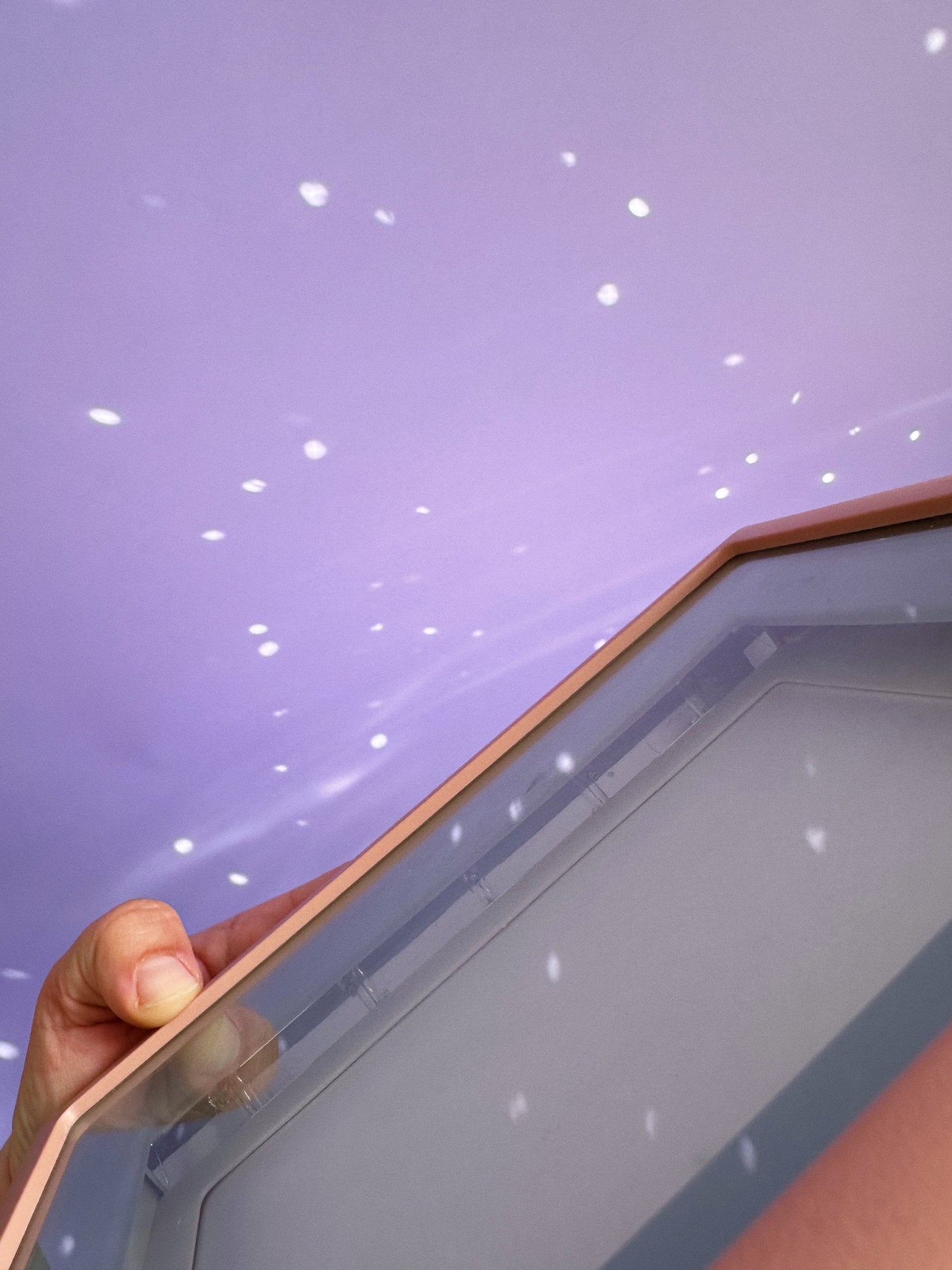 Vintage Post Modern Satin Rose Light Up Framelight