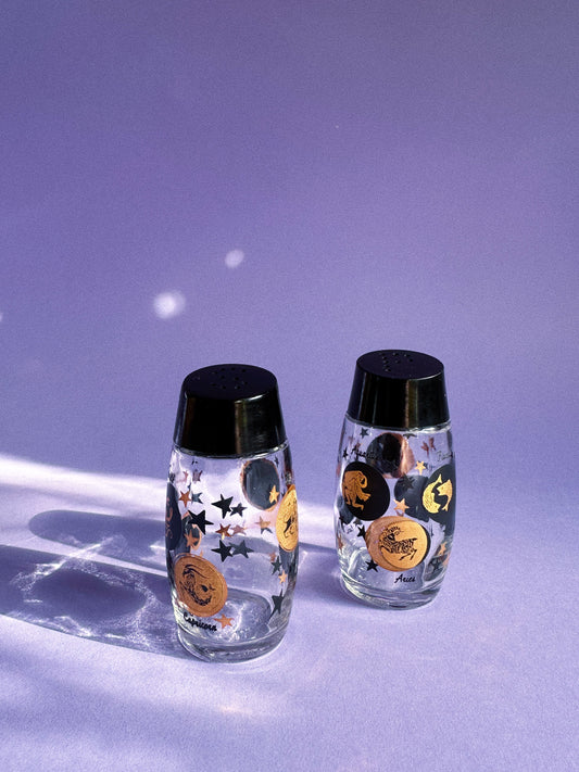 Vintage Van Pac Canada Zodiac Salt and Pepper Shakers