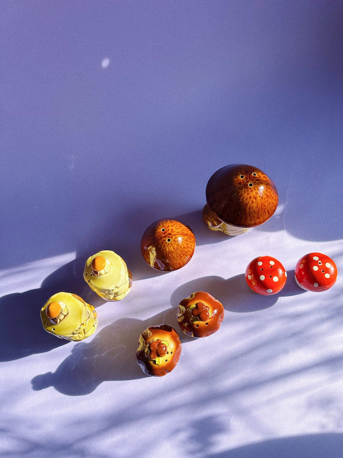 Vintage Mushroom Salt & Pepper Shakers