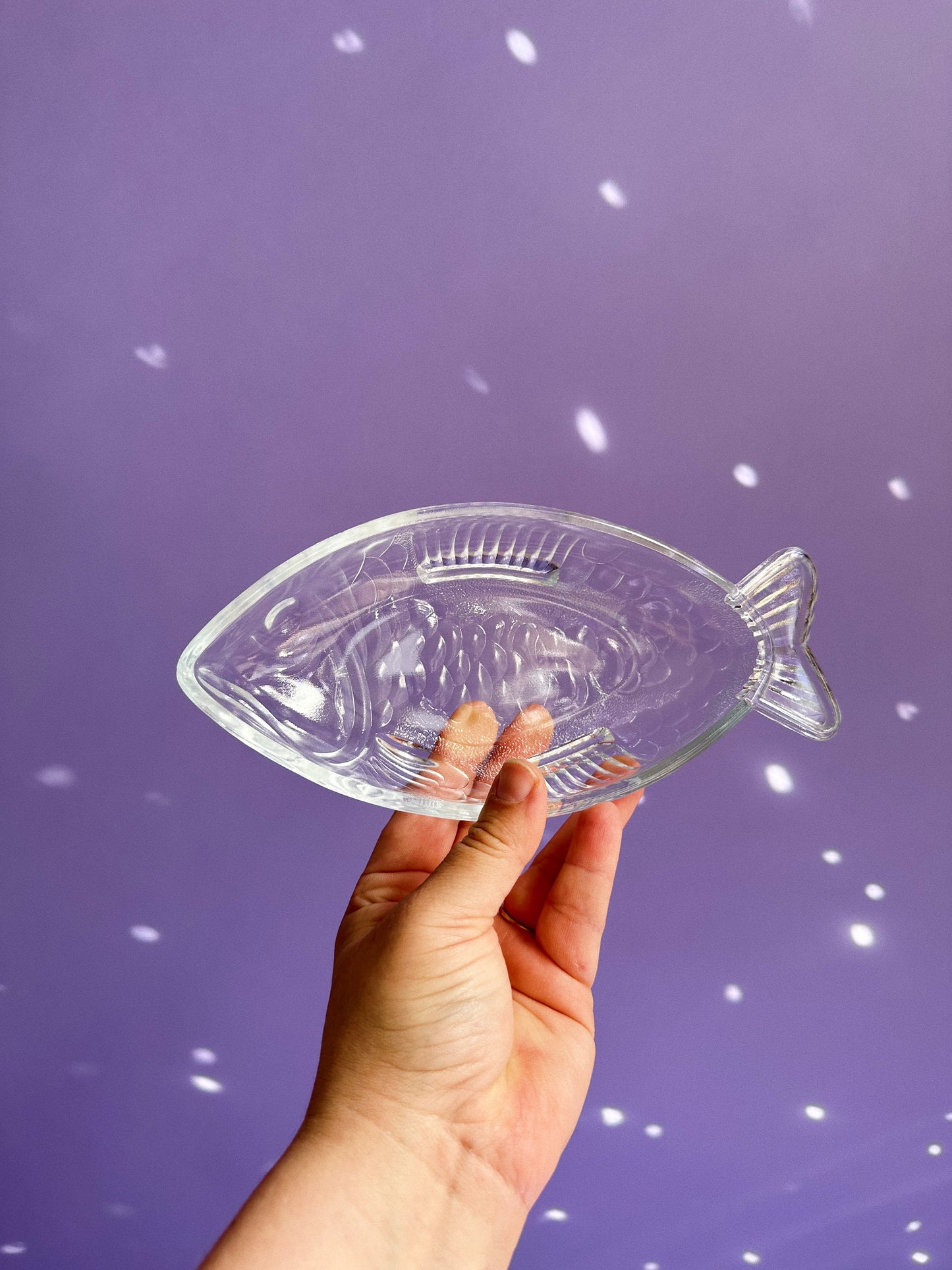 Pair of Heavy Glass Fish Dishes