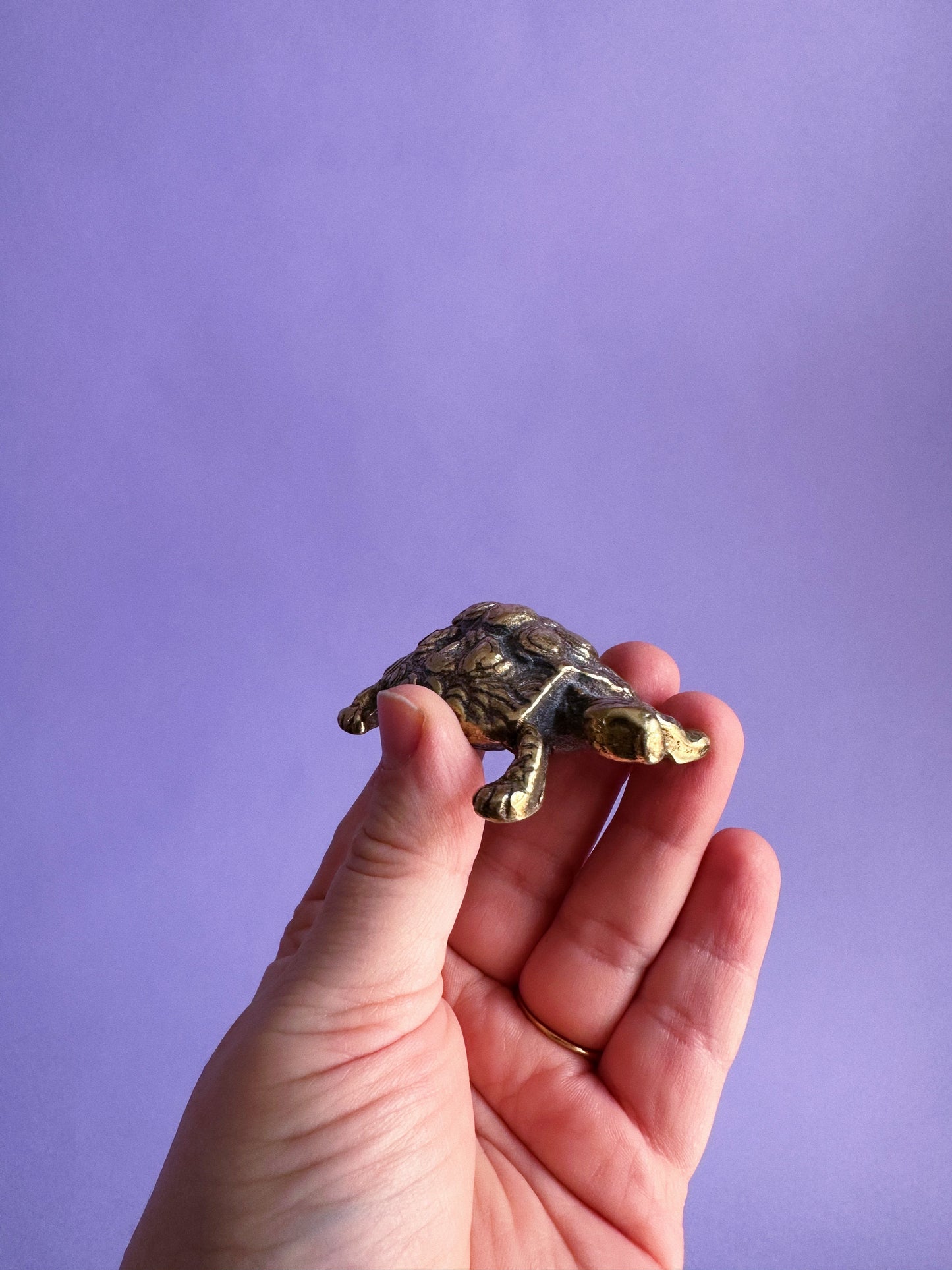 Vintage Brass Turtle Sculpture Paperweight