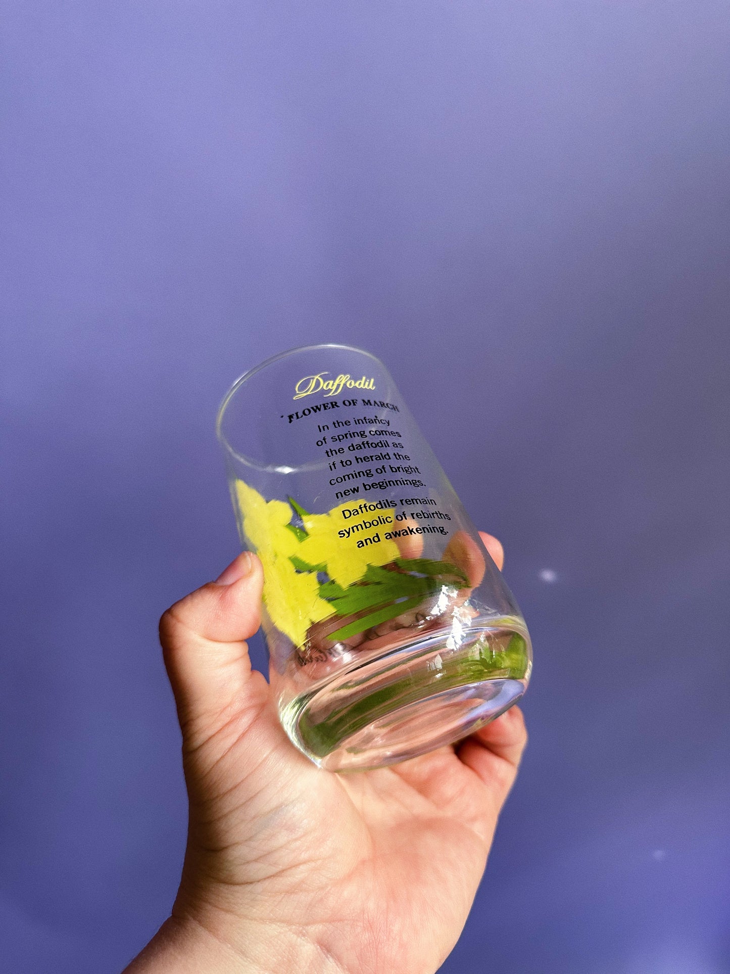 Vintage March Daffodil Flower of the Month Glass Tumbler