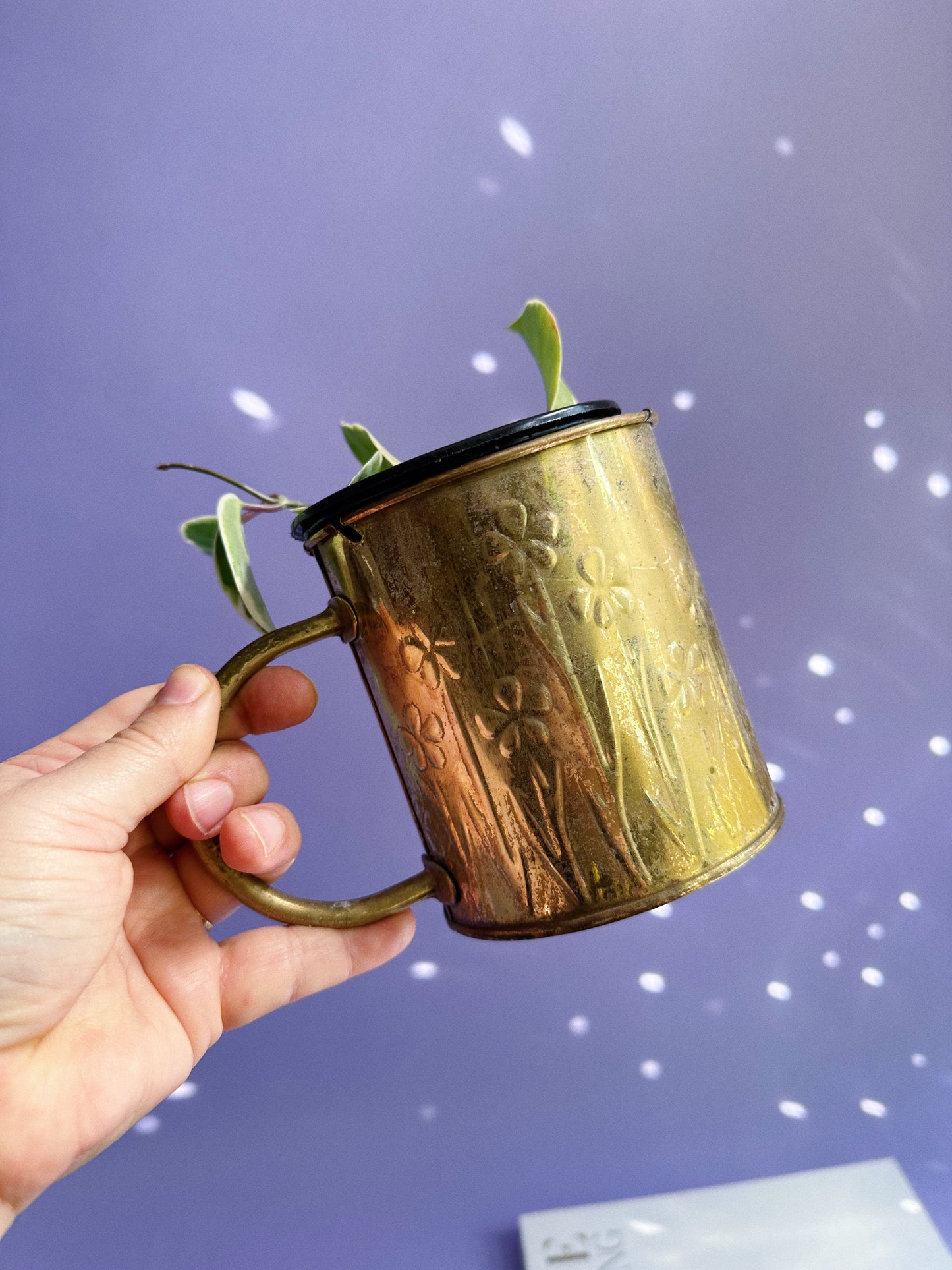 1980s Brass Floral Embossed “Watering Can” FTDA Planter