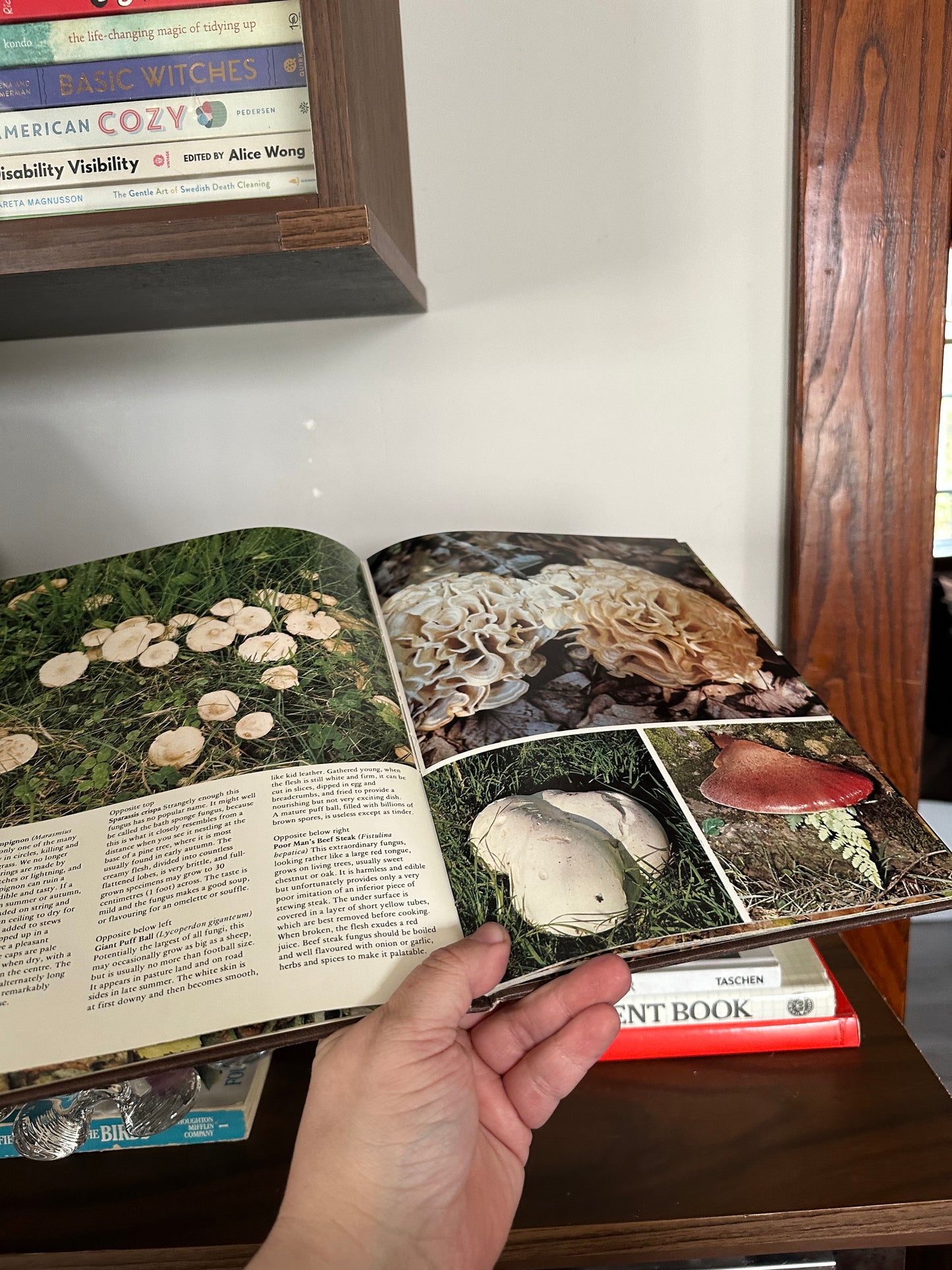 All Color Book of Mushrooms and Fungi by Moira Savonius, (1973) 104 Color Photos