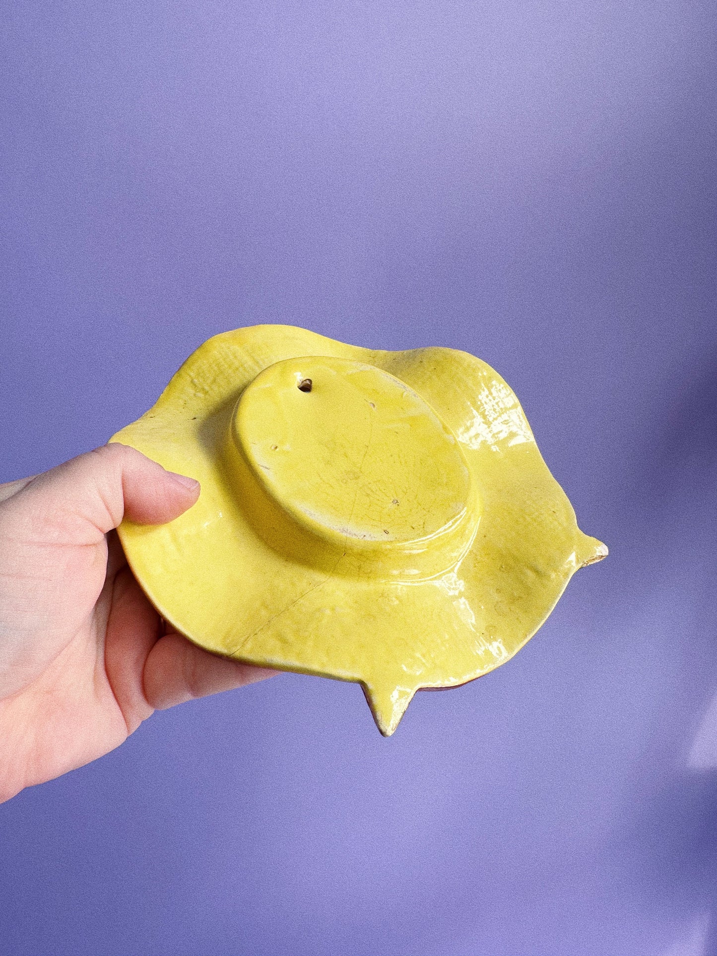 Vintage Mid Century Modern Sun Hat Wall Pocket Planter