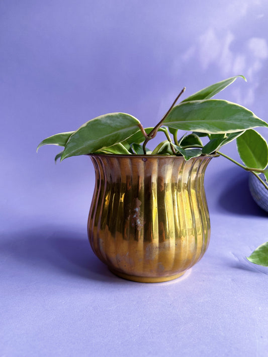 Vintage Brass Plant Cache Pot