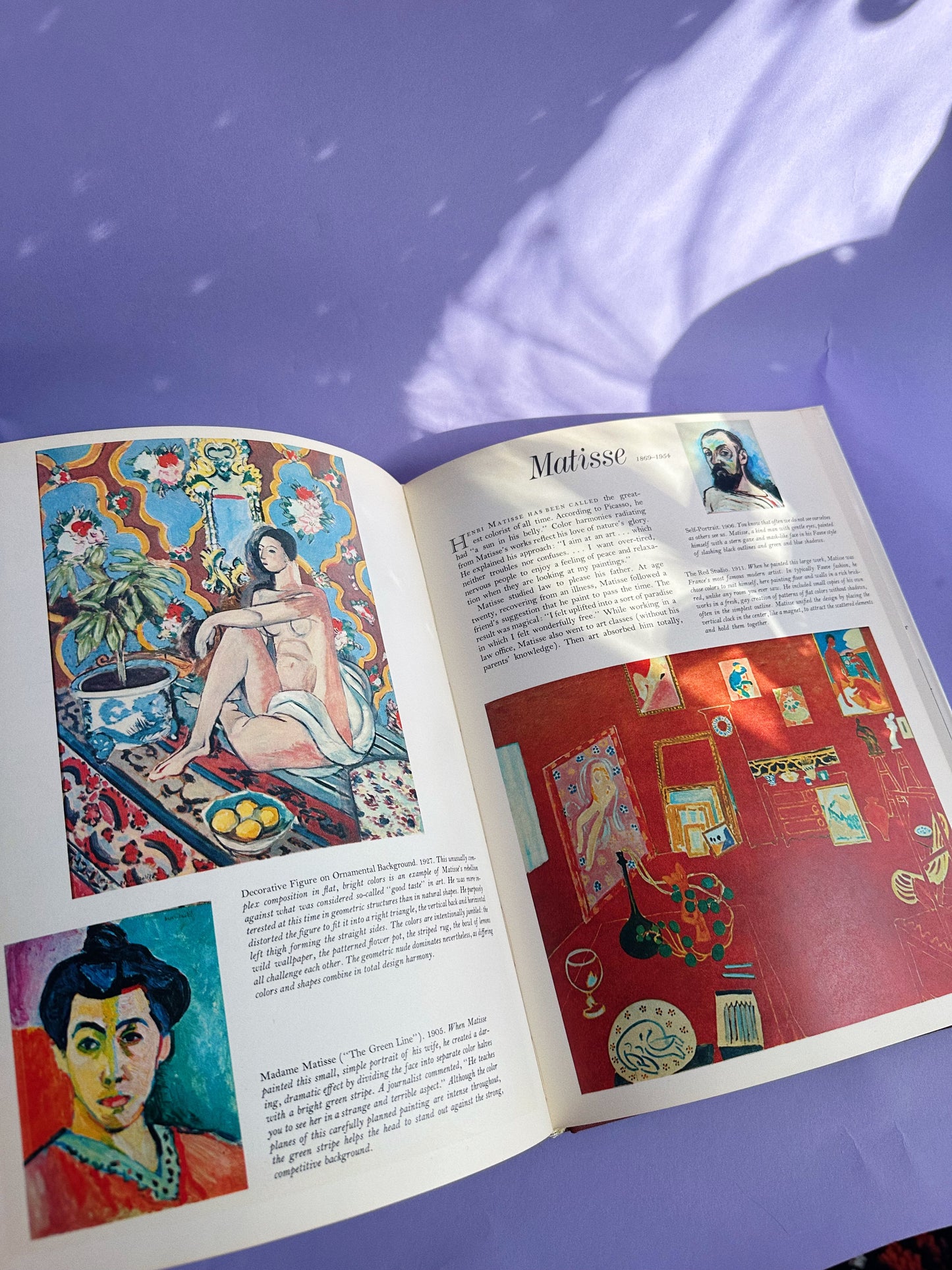 Vintage Introduction to Art Hardcover Coffee Table Book