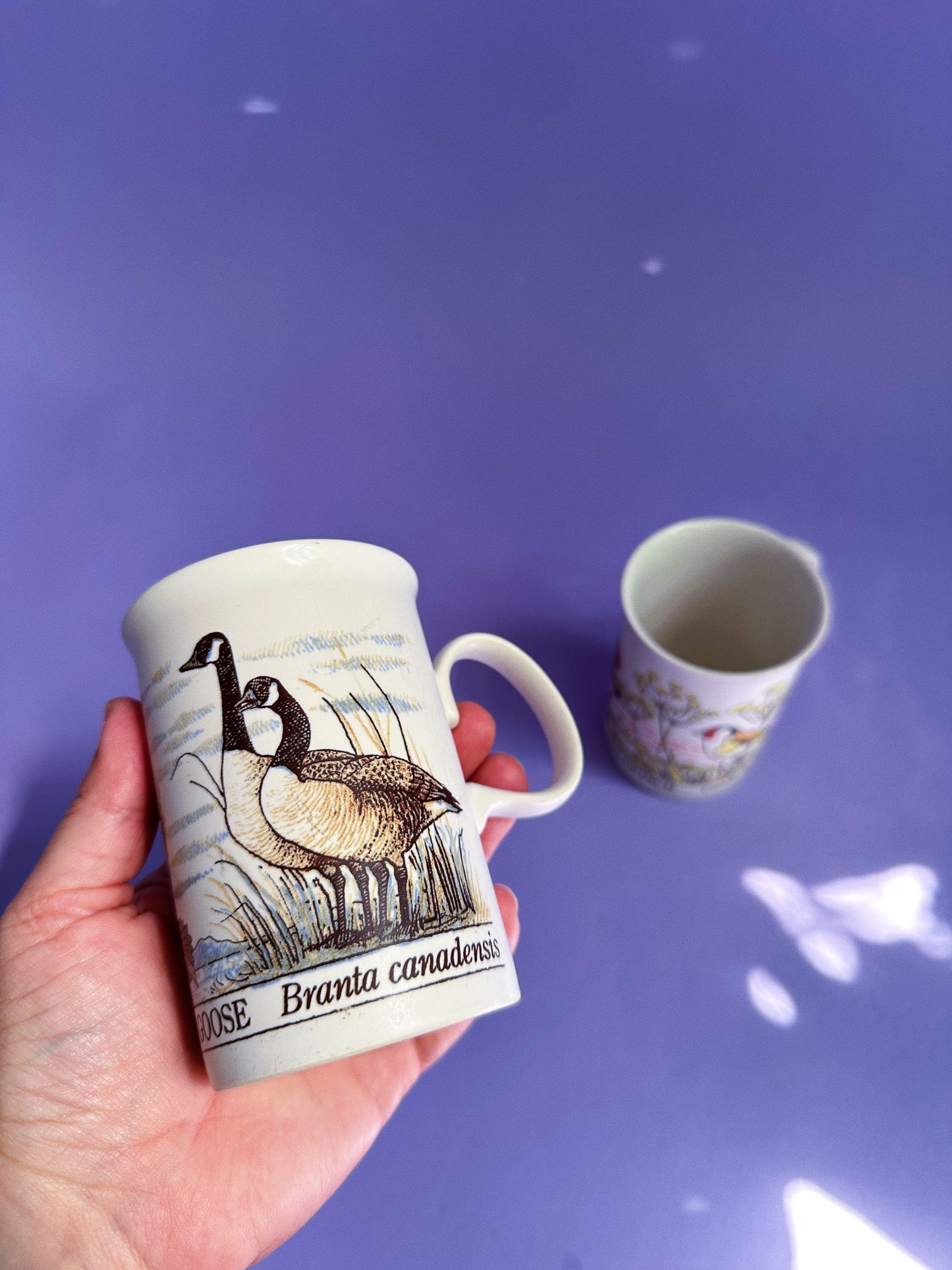 Dunoon Scotland Stoneware Coffee Tea Mugs Goldfinch and Canada Goose Birds