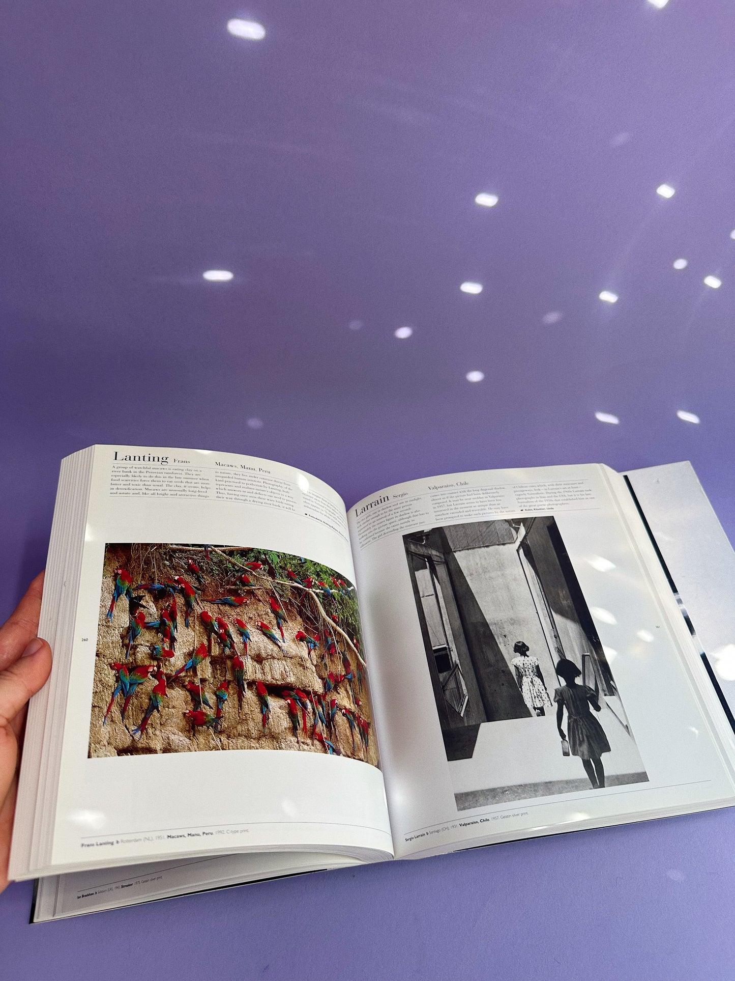 Heavy Phaidon The Photography Book Coffee Table Book