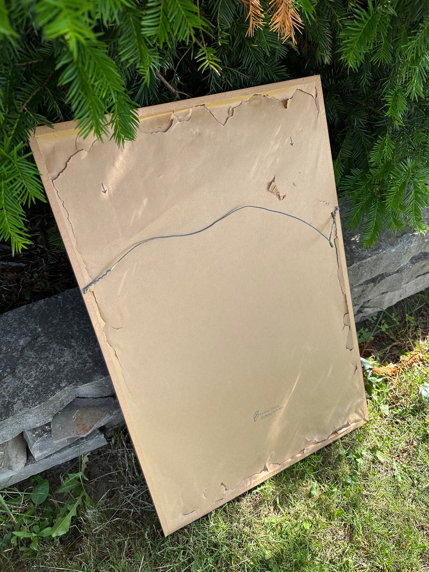 Vintage Post Modern Dusty Rose Framed Aaron Jones Food Squid Art Print