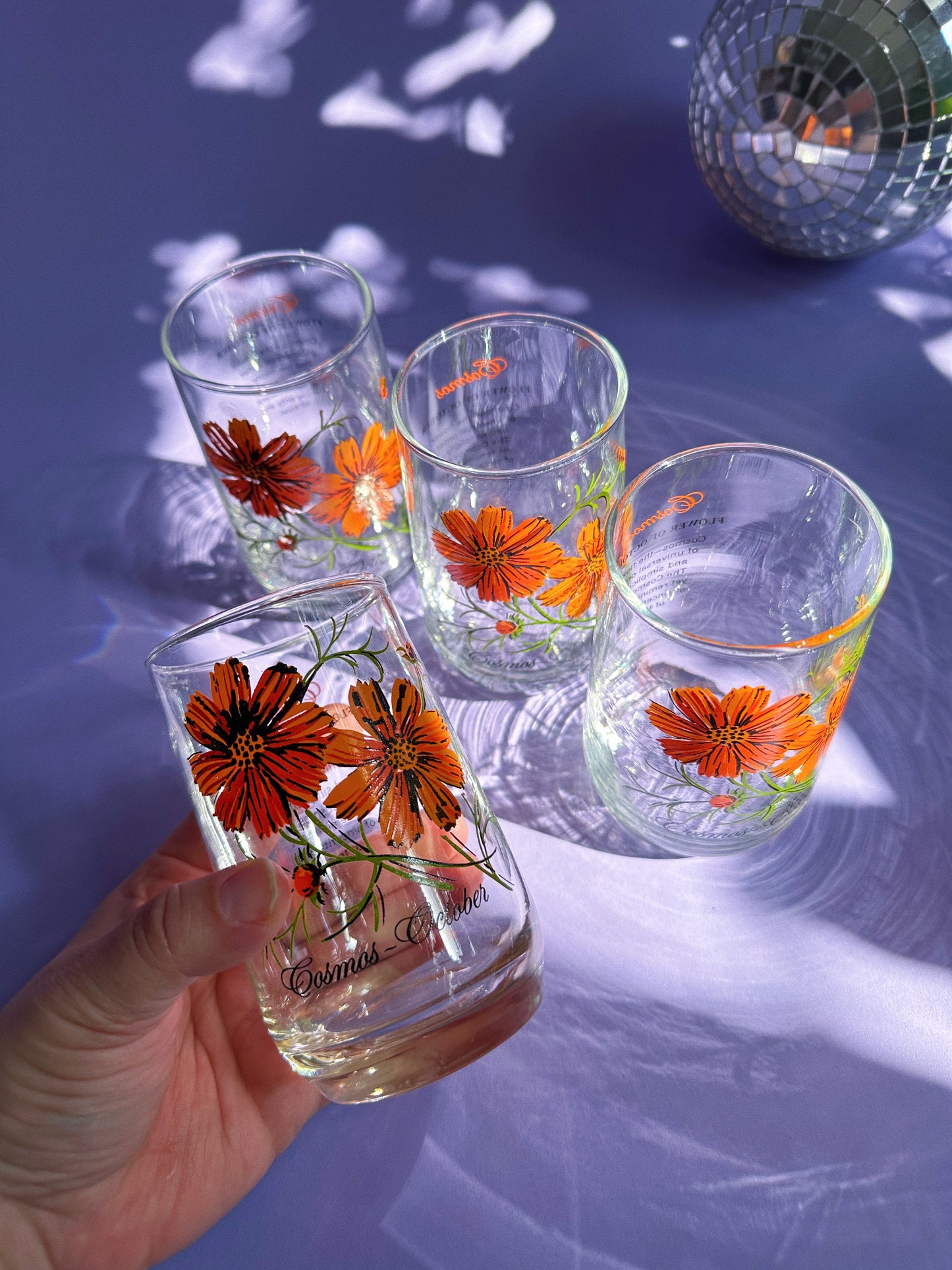 Vintage Floral Brockway Cosmos October Glass Tumblers