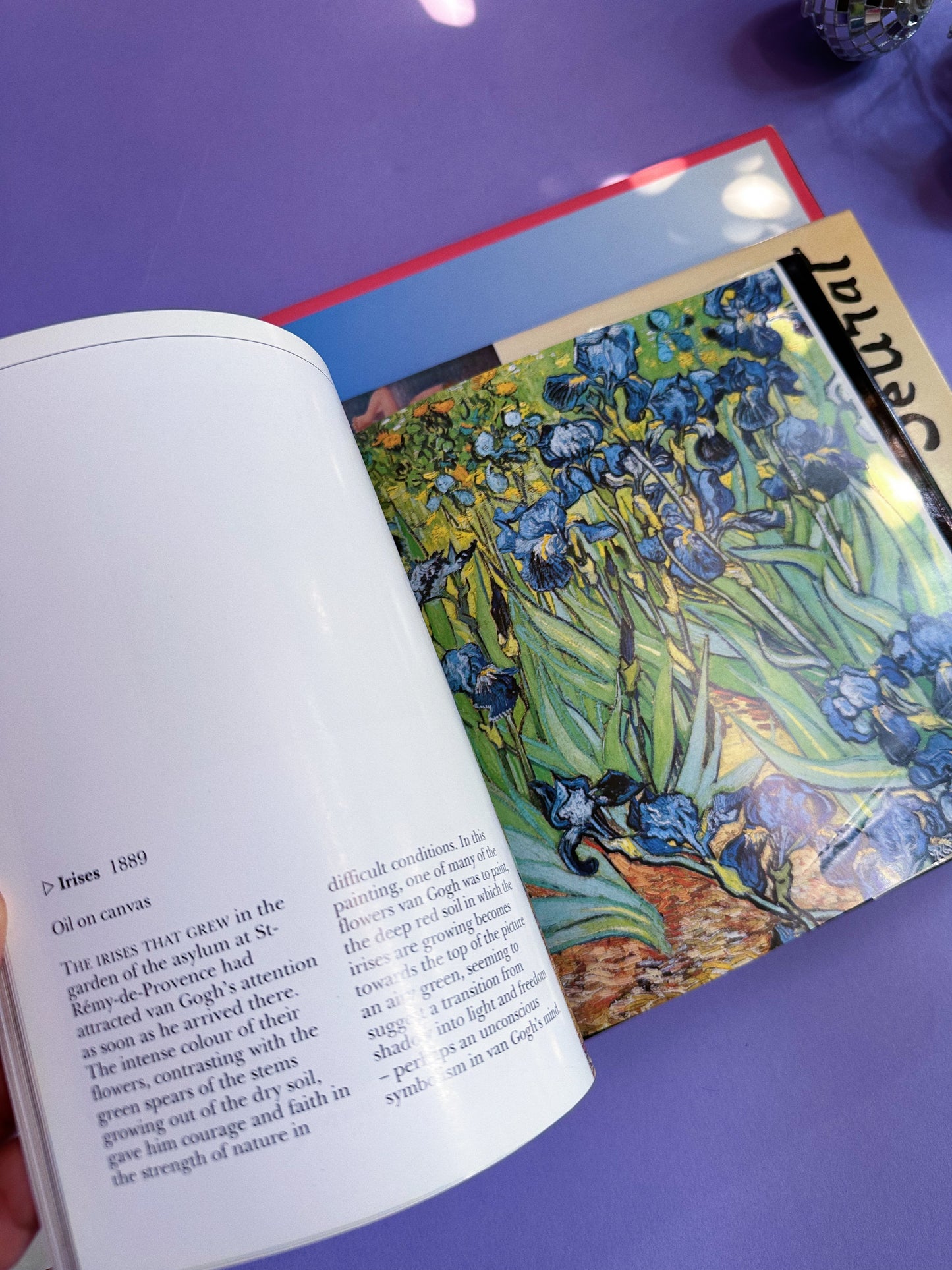 Vintage Life & Works Of Picasso & Van Gogh Square Collectable Hardcover Books