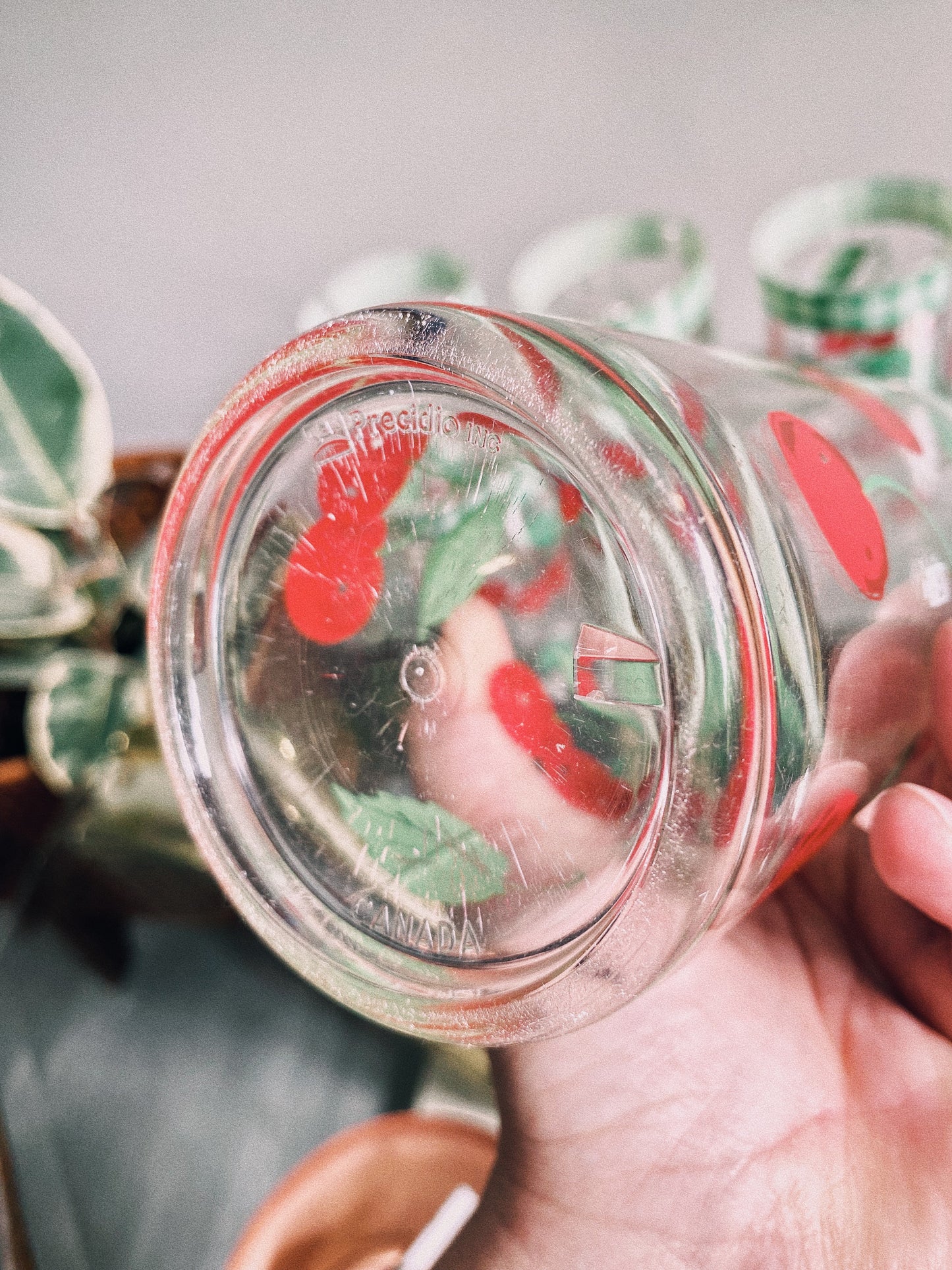 Vintage Acrylic Cherry & Gingham Tumblers