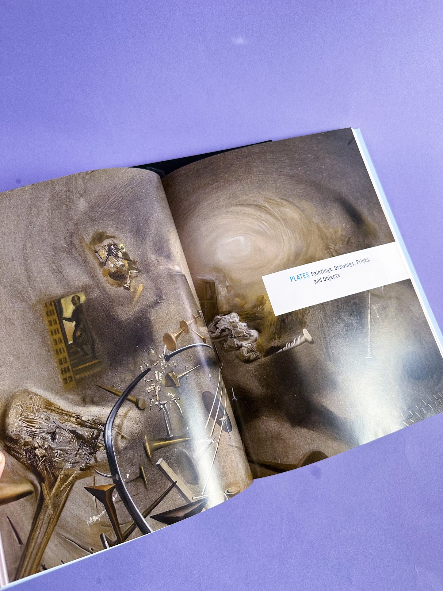 Salvador Dalí "The Late Work" Art Book - Blue Cover