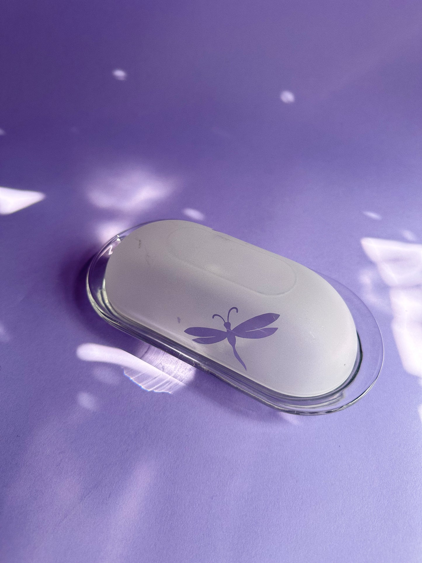 Vintage Frosted Dragonfly Butter Dish