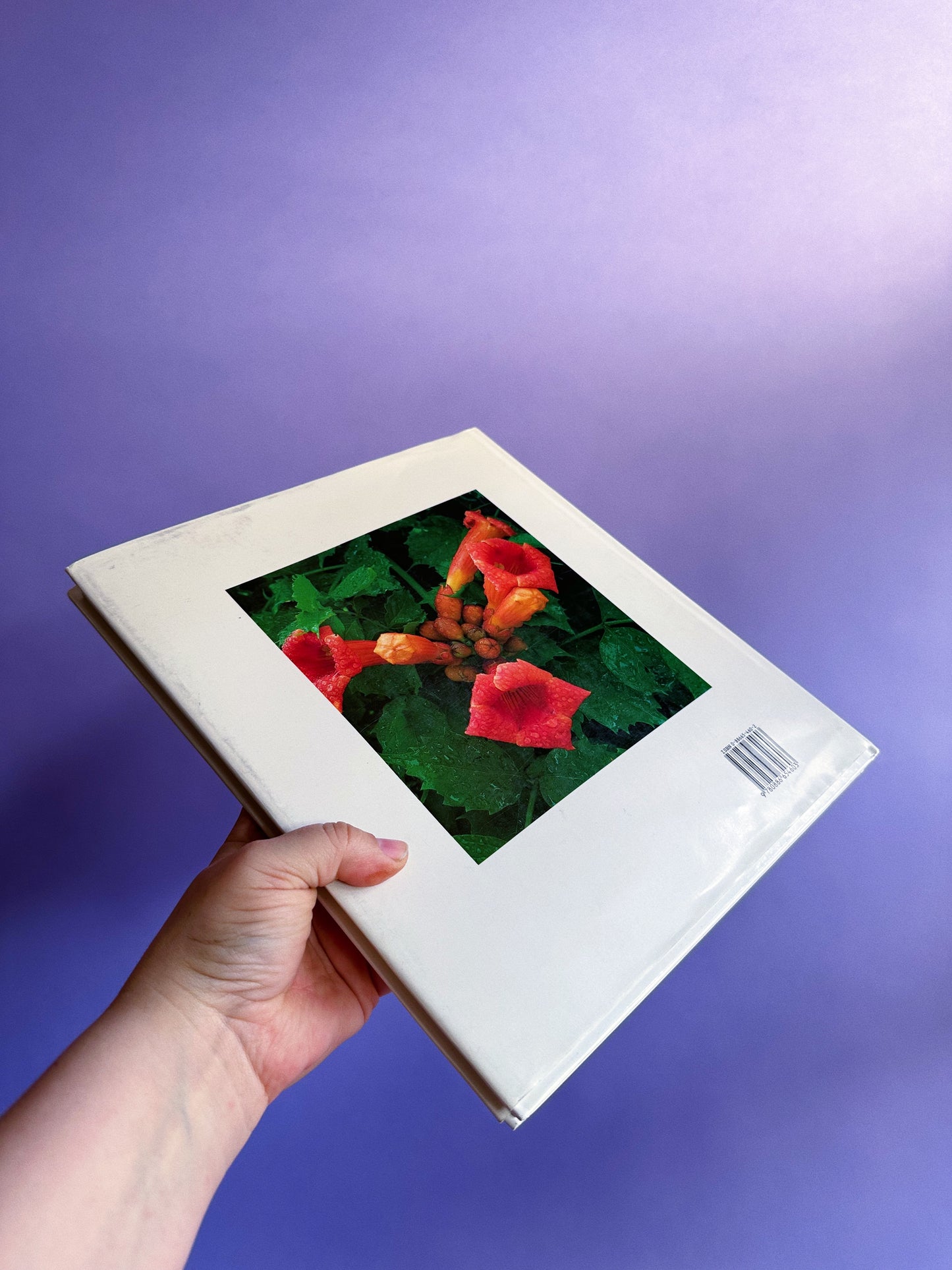 Vintage Wildflowers of Canada Hardcover Coffee Table Book