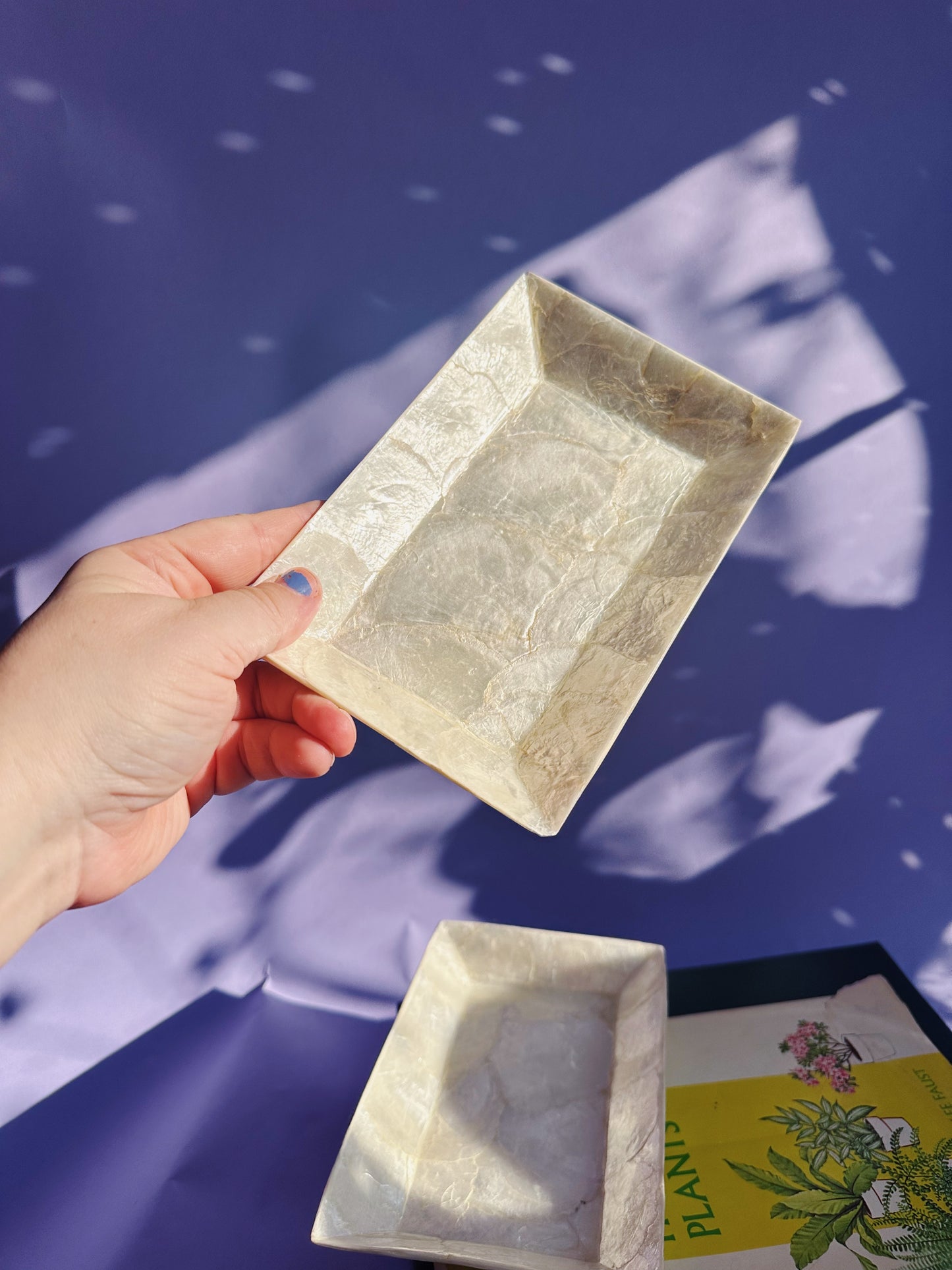 Vintage Pair of Capiz Shell Rectangle Throw Dishes