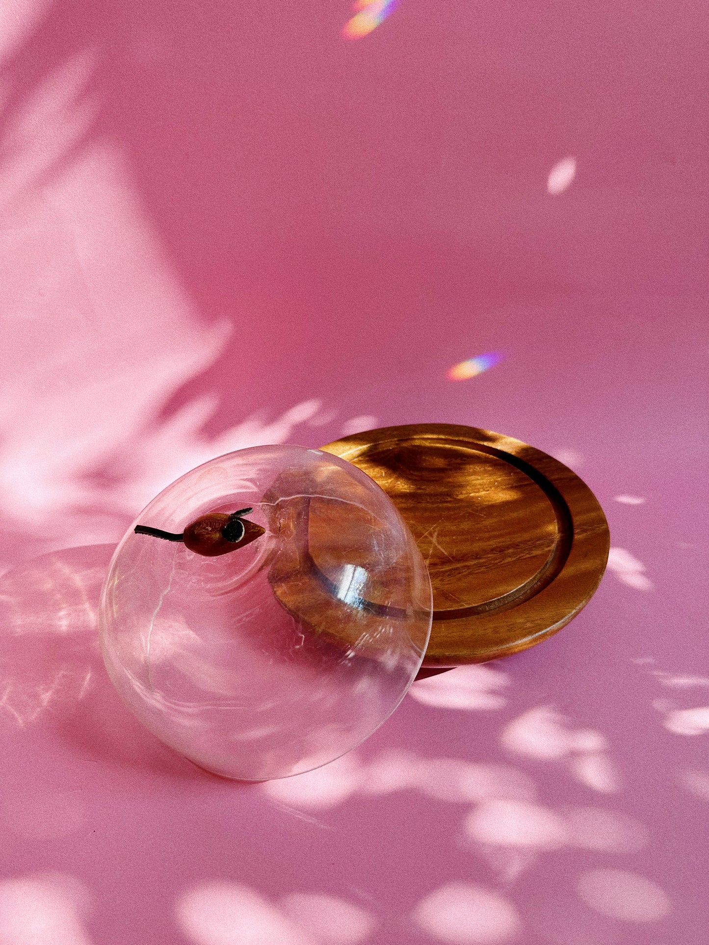 Vintage MCM Wood & Acrylic Cheese Plate w/ Wooden Mouse