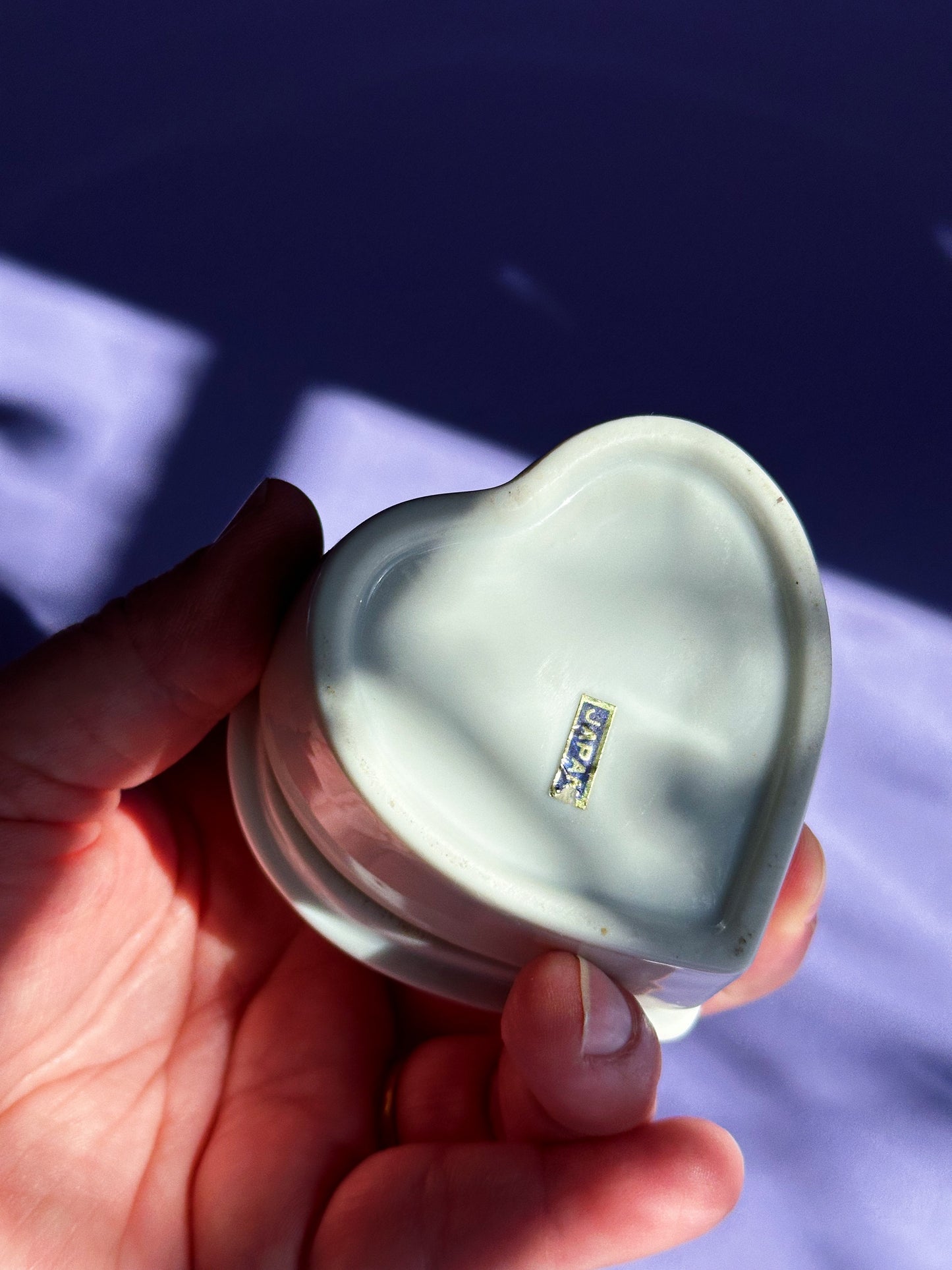 Vintage Nova Scotia Trinket Box