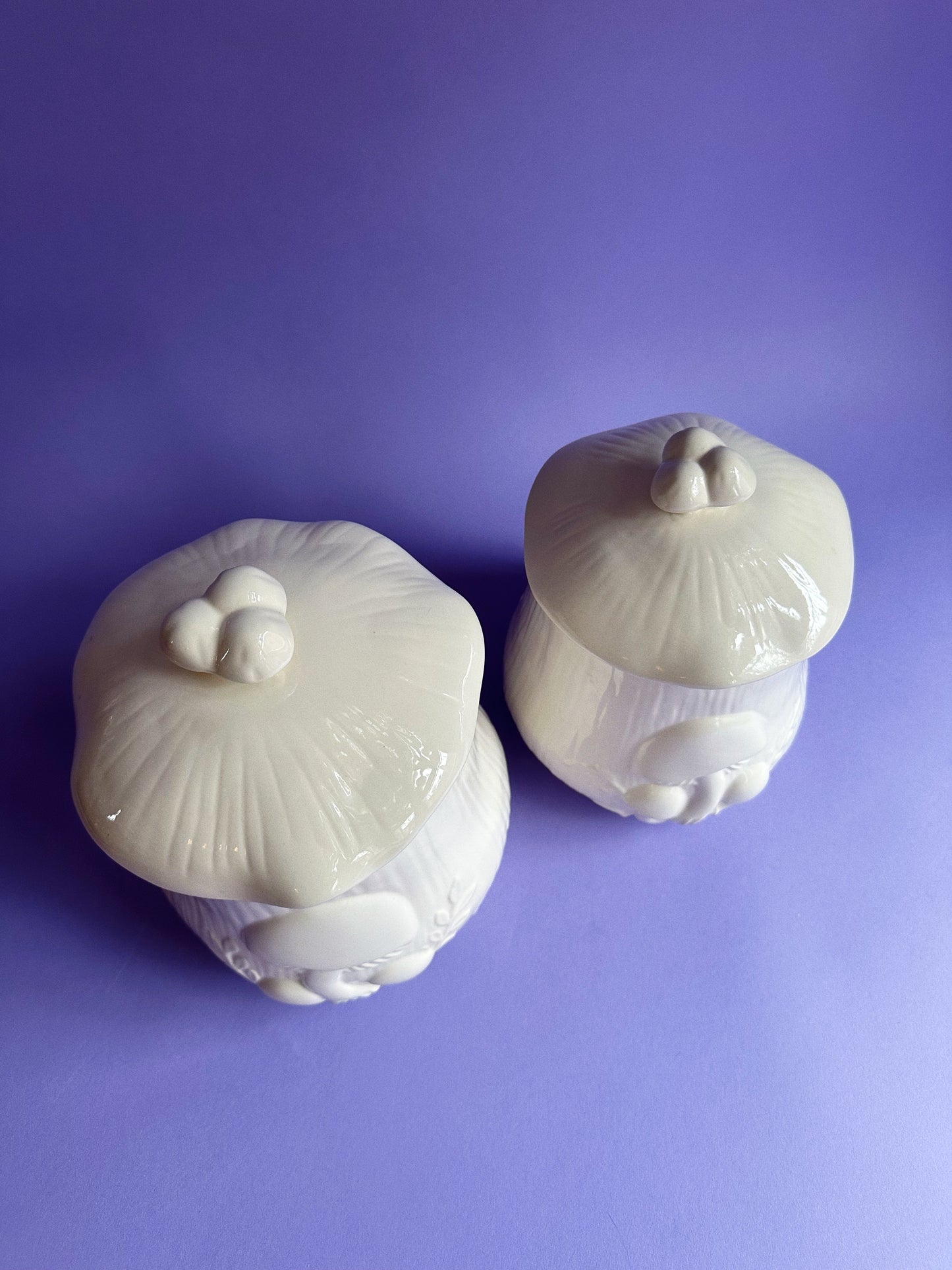 Vintage Pair of Mushroom Ceramic Arnels Kitchen Canisters