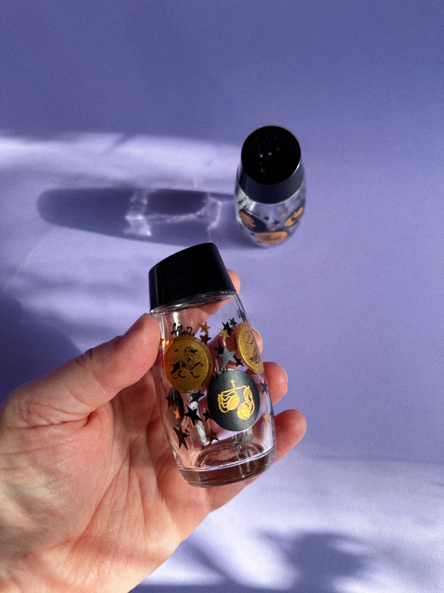 Vintage Van Pac Canada Zodiac Salt and Pepper Shakers