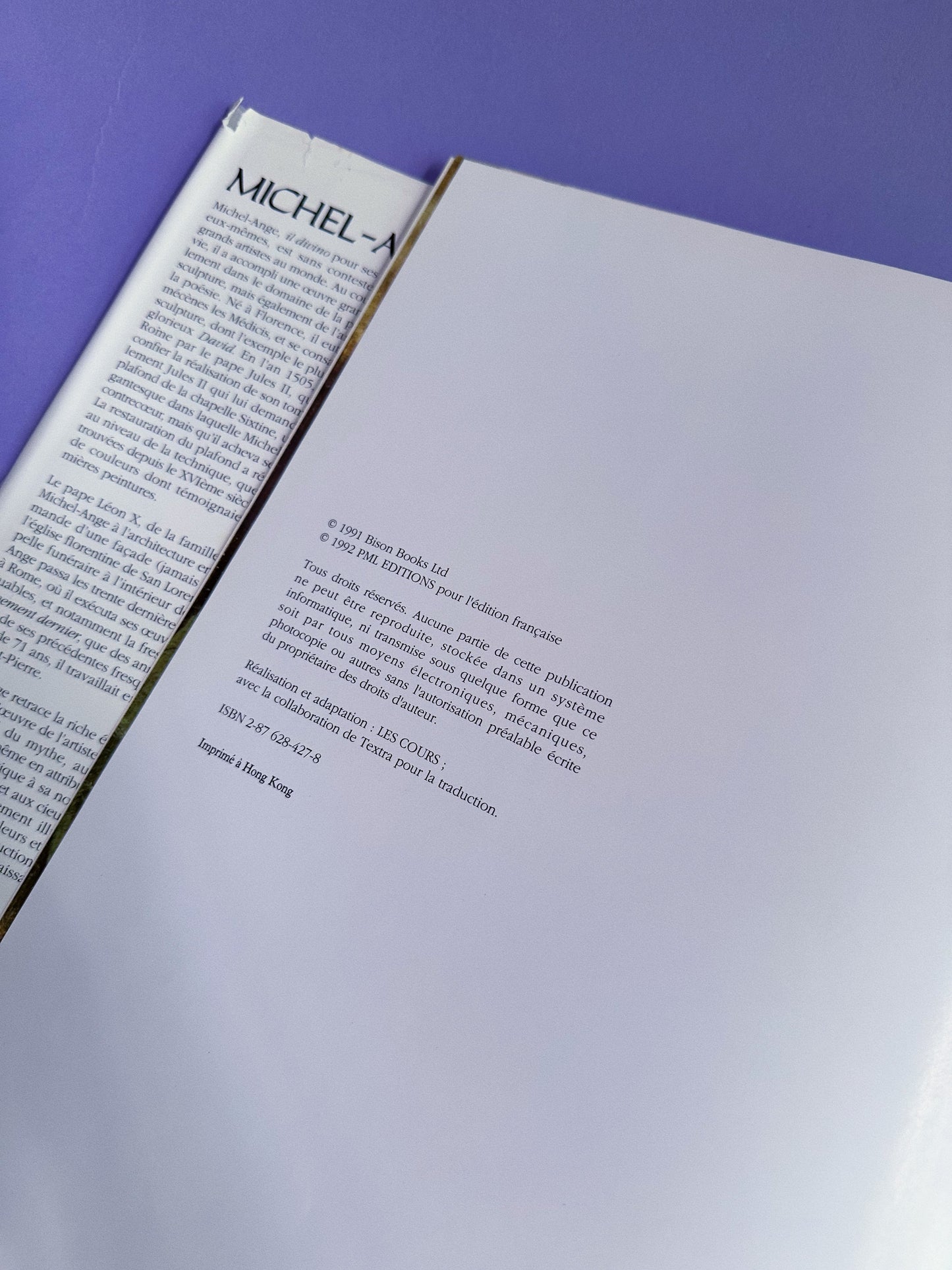 Large Michelangelo in French Coffee Table Book