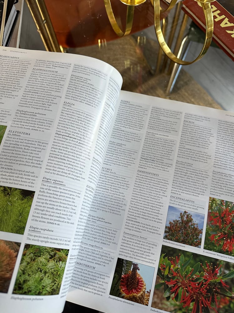 Botanica: The Illustrated A-Z of Over 10,000 Garden Plants